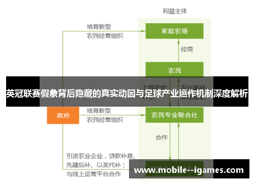 英冠联赛假象背后隐藏的真实动因与足球产业运作机制深度解析